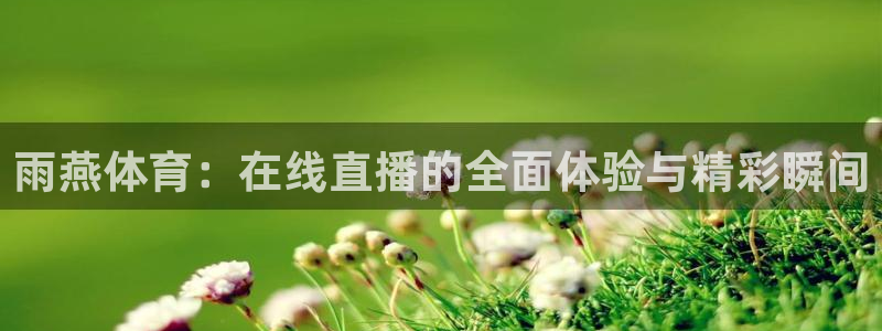 新闻图片
