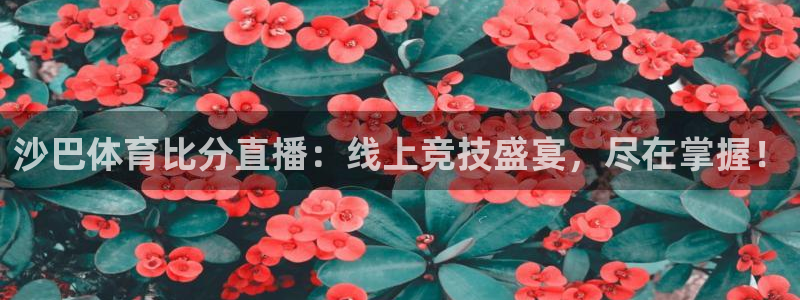 沙巴体育比分直播：线上竞技盛宴，尽在掌握！