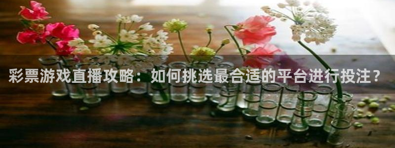 彩票游戏直播攻略：如何挑选最合适的平台进行投注？